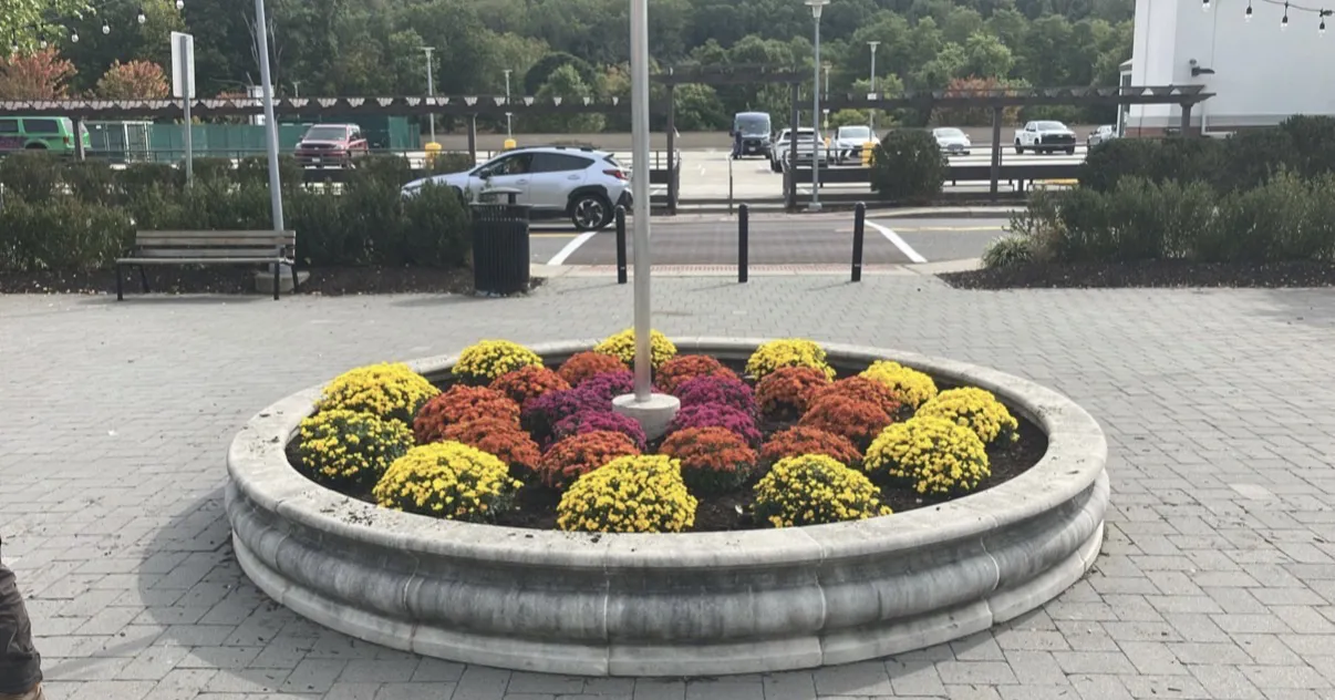 Regis Corporate Plaza: Facilities Management, White Plains, NY